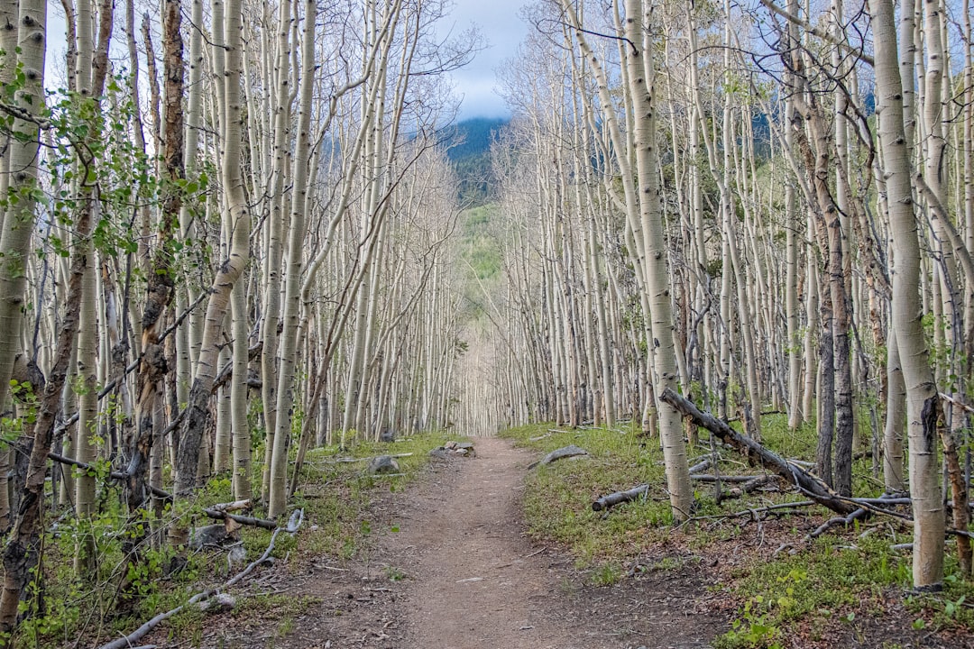 Photo Nature trail