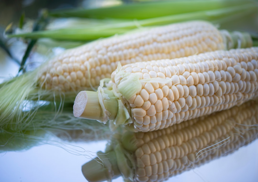 Photo Fresh vegetables